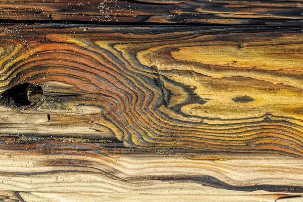 Couleurs et paternes en bois flotté dans des formes naturelles — Photo