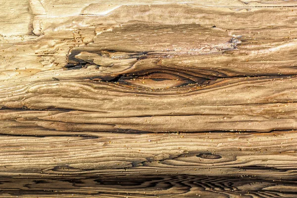 Cores de madeira à deriva e pais em formas de formato natural Fotos De Bancos De Imagens Sem Royalties