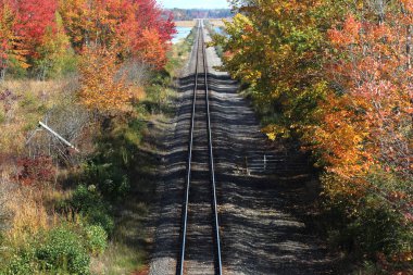 Sonbaharda etrafta kimse yokken tren rayları