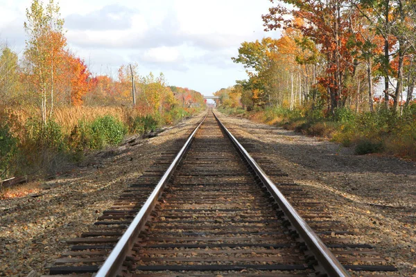 Las vías del tren en el otoño sin nadie alrededor — Foto de Stock