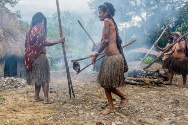 Dugum Dani kabile insanlar