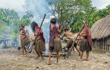 Dugum Dani kabile insanlar domuz yemek vardır