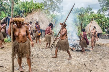 Dugum Dani kabile insanlar domuz yemek vardır