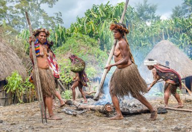 Dugum Dani kabile insanlar domuz Festivali