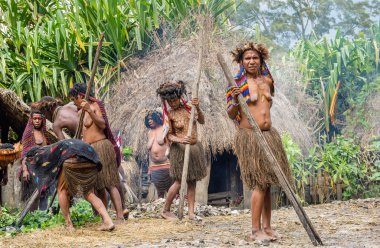 Dugum Dani kabile insanlar domuz yemek vardır