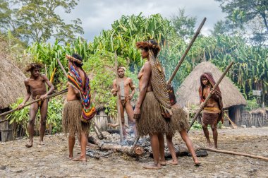 Dugum Dani kabile insanlar domuz yemek vardır
