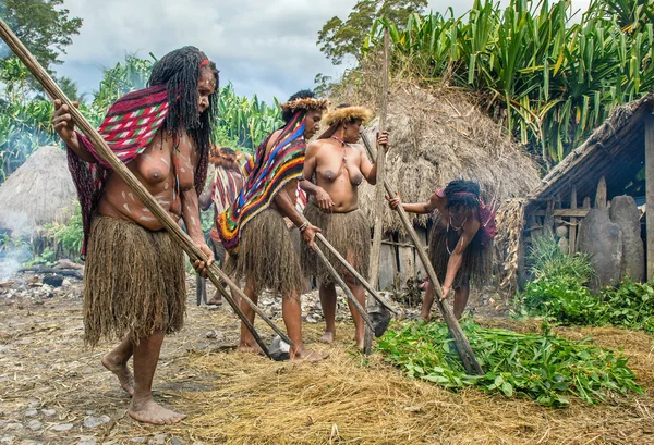 Dugum Dani kabile insanlar