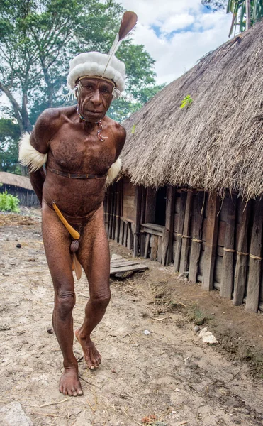 yaşlı adam Dugum Dani kabile