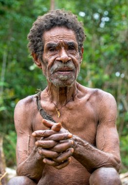 Papua yaşlı adam portresi