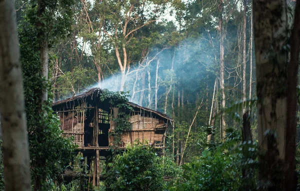 Traditionella Korowai hus — Stockfoto