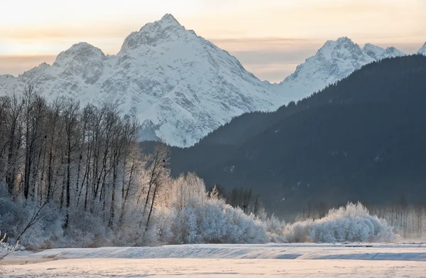 Chilkat floden och bergen i snö — Stockfoto