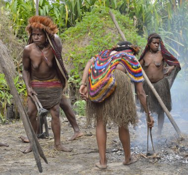 Dugum Dani kabile insanlar domuz yemek vardır