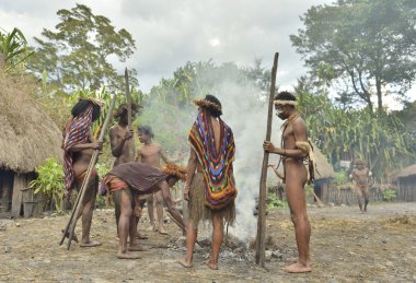 Dugum Dani kabile insanlar domuz yemek vardır