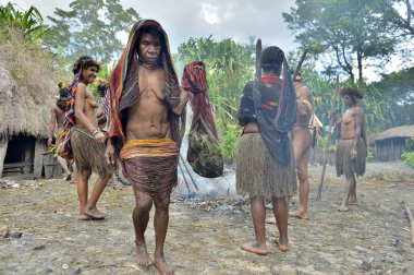 Dugum Dani kabile insanlar domuz yemek vardır
