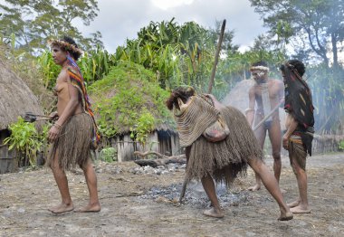 Dugum Dani kabile insanlar domuz yemek vardır