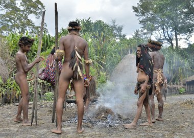 Dugum Dani kabile insanlar domuz yemek vardır