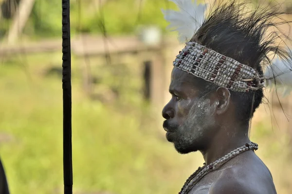 Человек из племени Асмата — стоковое фото