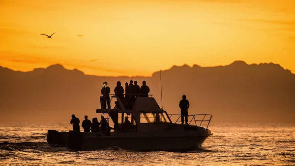 Silhuetten av hastighet båt i havet — Stockfoto