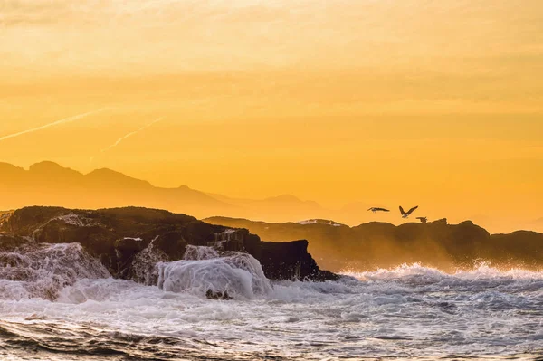 Paisaje marino al amanecer . — Foto de Stock