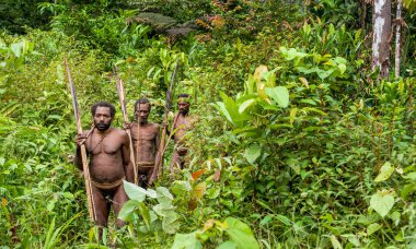 Papuans grup Korowai kabilesinden 