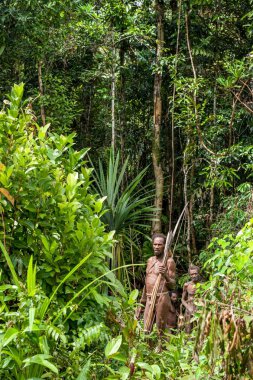 Papuans grup Korowai kabilesinden 
