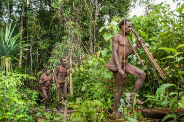 Papuans grup Korowai kabilesinden 