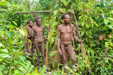 Papuans grup Korowai kabilesinden 