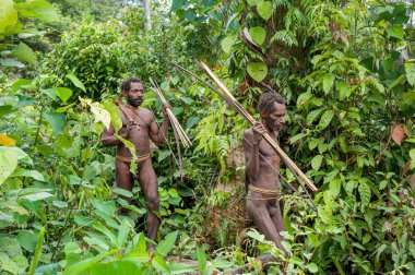 Papuans grup Korowai kabilesinden 