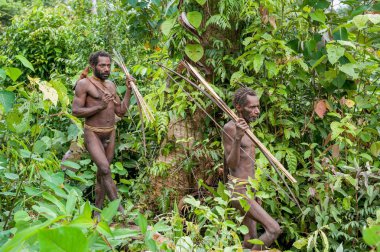 Papuans grup Korowai kabilesinden 
