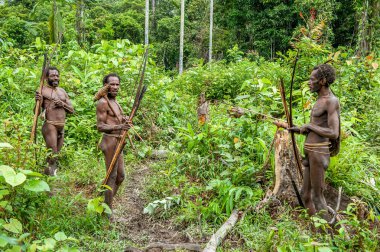 Oklar yayından bir çekim Papua