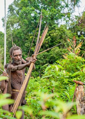 Oklar yayından bir çekim Papua