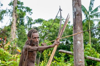Oklar yayından bir çekim Papua