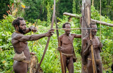 Oklar yayından bir çekim Papua