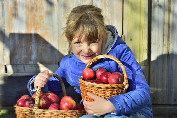 Cueillette de pommes par des enfants dans une ferme — Photo
