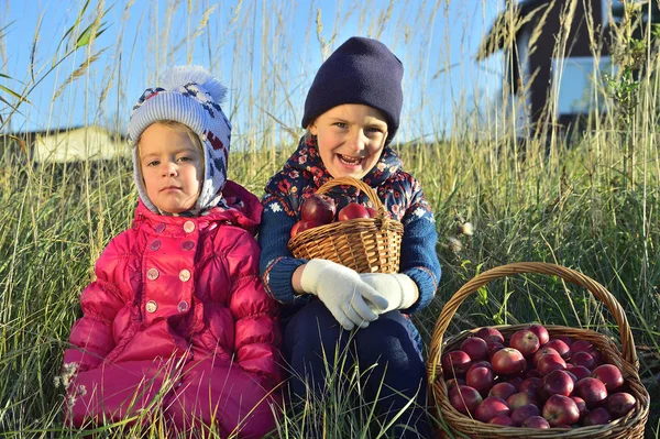 Niños recogiendo manzanas — Foto de Stock