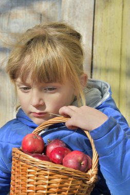 Elma çiftlikte sonbaharda alarak çocuk