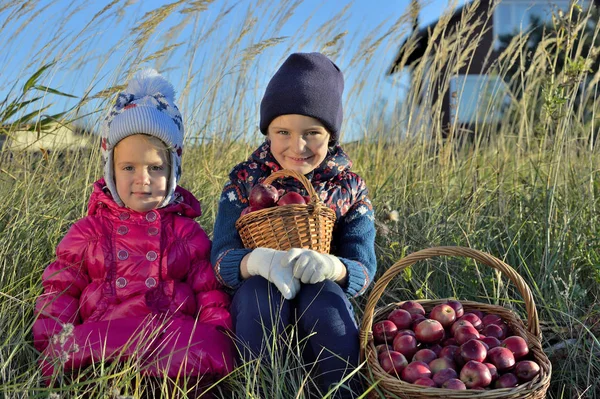 Niños recogiendo manzanas —  Fotos de Stock