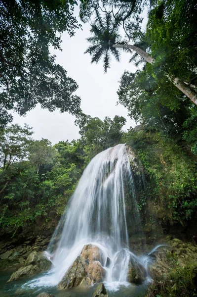 Sierra Rosario biosférická rezervace, — Stock fotografie