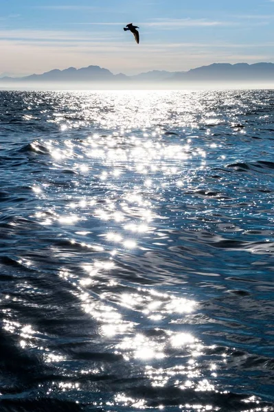 Reflectie van het zonlicht op zee oppervlak — Stockfoto