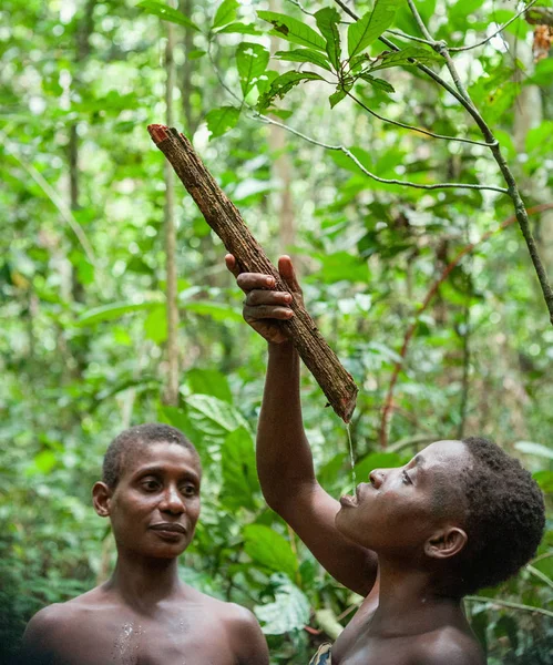 ピグミー族の女性は、つる植物から水を飲む — ストック写真