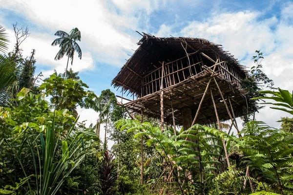 Традиційний будинок Koroway сиділа в дерево — стокове фото