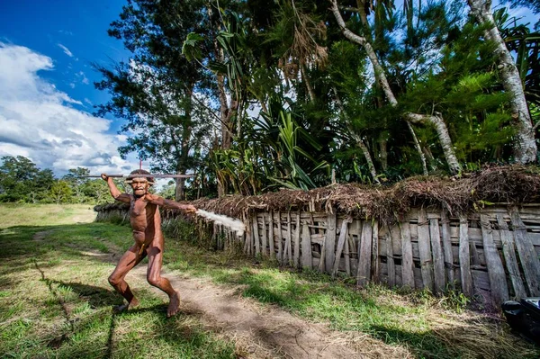 Headhunter Warrior of Papuan Dani tribe — Stock Photo, Image