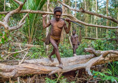 Korowai kabilesinden Papuans 