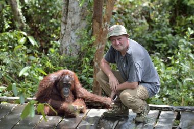 Orangutan maymun ile oynayan adam. Tropikal yağmur ormanları 
