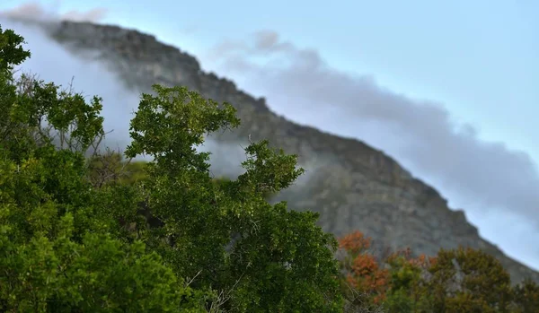 View Foggy Mountains — Stock Photo, Image