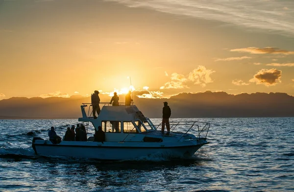 Silhouette Del Motoscafo Nell Oceano Tramonto — Foto Stock