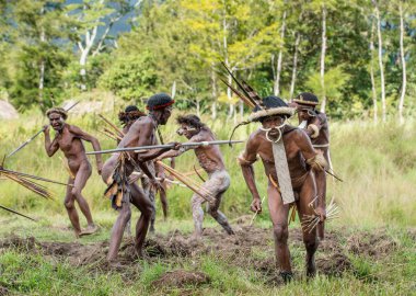 Dani Köyü, Wamena, Irian Jaya, Yeni Gine, Endonezya - 4 Haziran: Papuans silahlı grup krizinden. Dani grup savaşçı kabile saldırıyor. 4 Haziran 2016, Yeni Gine Adası.