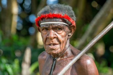 DANI VILLAGE, WAMENA, IRIAN JAYA, NEW GUINEA, INDONESIA, 4 JUNE 2016: Close up Portrait of Dugum Dani Warrior Portrait. June 4, 2016 The Baliem Valley Papua or Irian Jaya Indonesian New Guinea clipart