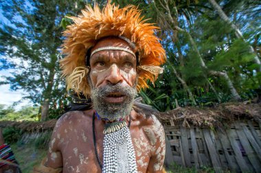 Dani Köyü, Wamena, Irian Jaya, Yeni Gine, Endonezya, 4 Haziran 2016: yakın Dugum Dani savaşçı portre portre yukarı. 4 Haziran 2016 Baliem Vadisi Papua veya Irian Jaya Endonezya Yeni Gine