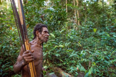 Yeni Gine Adası, Endonezya - 24 Haziran vahşi orman: Papua Korowai (Kolufo) kabilesinden ok ve yayla vahşi ormanlarda, Yeni Gine. 24 Haziran 2016, Yeni Gine, Endonezya